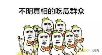 吃不着瓜就哭,吃不着瓜的无奈与心酸  第1张